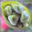 Fiona Apple Extraordinary Machine (DualDisc) Формат: Audio CD (Jewel Case) Дистрибьютор: SONY BMG Лицензионные товары Характеристики аудионосителей 2005 г Альбом инфо 247s.